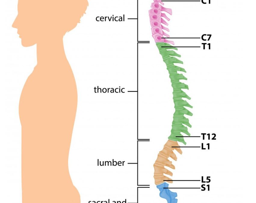What Cervical Spondylosis Means for Your Neck